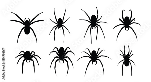 Variety of black spider silhouettes arranged in a grid pattern