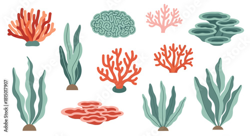 Colorful Coral Reef and Seaweed Collection.