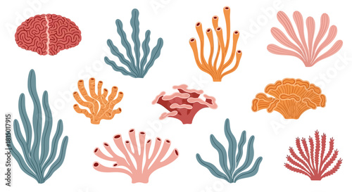 Colorful Coral Reef Elements - A Diverse Collection of Marine Flora.