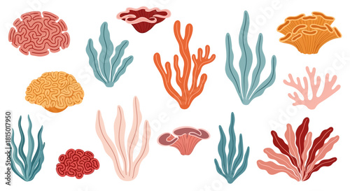 Colorful Coral Reef Elements Collection.