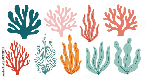 Colorful Seaweed and Coral Collection - Underwater Flora Illustrations.