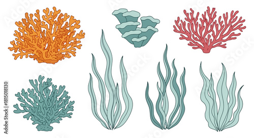 Colorful Seaweed and Coral Collection - Marine Plant Diversity.