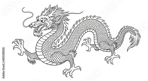 Detailed Line Art Illustration of a Traditional Chinese Dragon.