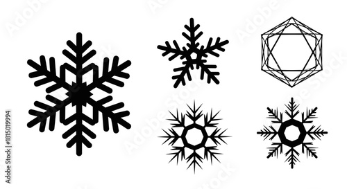 Elegant Snowflake Collection - Winters Geometric and Organic Beauty.