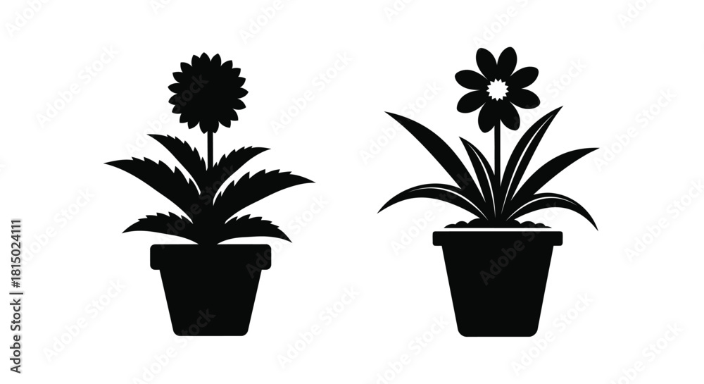 Fototapeta premium Two potted flowers in black silhouette a sunflower and a smaller bloom