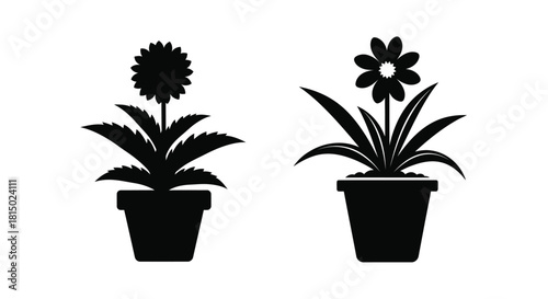 Two potted flowers in black silhouette a sunflower and a smaller bloom