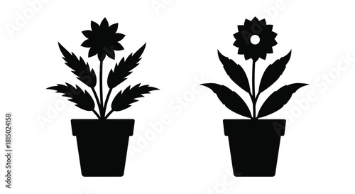 Black silhouette illustration of two potted flowering plants with leafy foliage