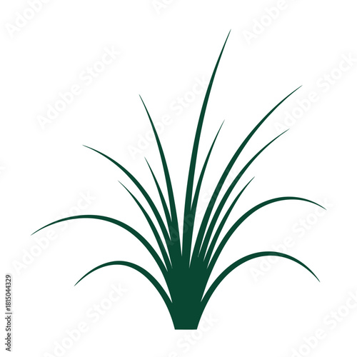 Illustration of dark green grass blades isolated on, creating a natural and fresh element for graphic design and decoration projects