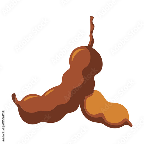 Illustration of two tamarind pods, one open to reveal the pulp, isolated on tropical fruit with a sweet and sour flavor