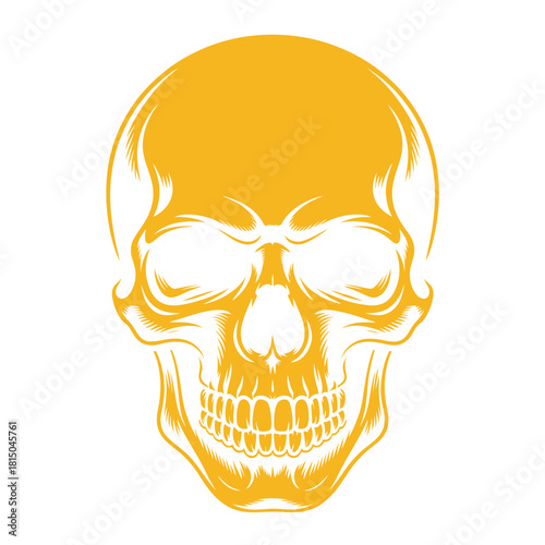 A striking golden skull illustration, isolated on, perfect for edgy designs, halloween themes, and symbolic representations of mortality and rebellion