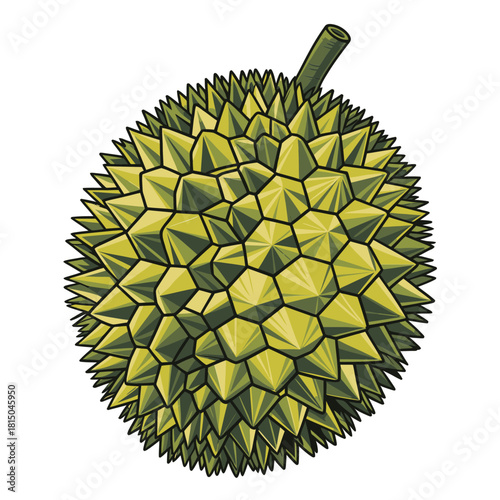 Illustration of a durian, a spiky tropical fruit known for its strong odor, isolated on it is a popular ingredient in southeast asian cuisine