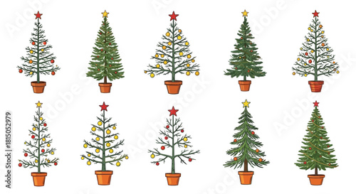 Collection of Decorated Christmas Trees in Pots.