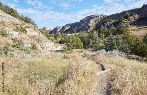 Obraz na płótnie The Caprock Coulee Trail at Theodore Roosevelt National Park is known for its co