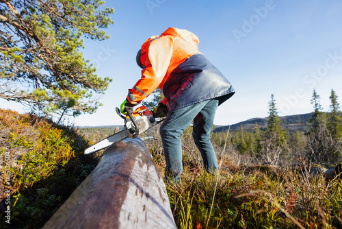 Strong downward force as a man in safety jacket cuts through a large fallen log on a forest ridge, showing balance, effort and clear outdoor intent under bright Nordic daylight. Copy space.