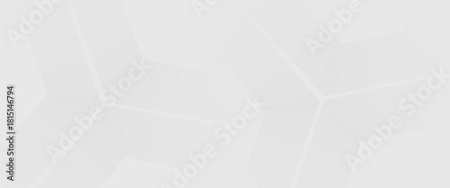 Hexagon white gray wave light technology texture background. Abstract big data digital concept simple art modern abstract