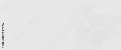 Hexagon white gray wave light technology texture background. Abstract big data digital concept simple art modern abstract