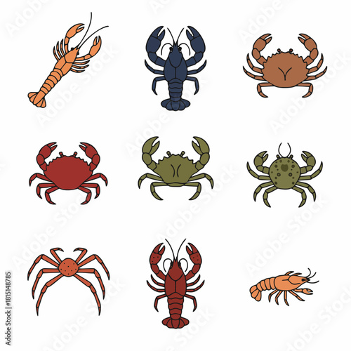European Crustaceans Icon Set – Lobster Crab Maja Squinado Squat Lobster Vector Pack