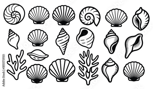 Seashell bold line art set, Hand drawn seashells, Seashell silhouette vector collection, Seashells illustrations in black and white outline style