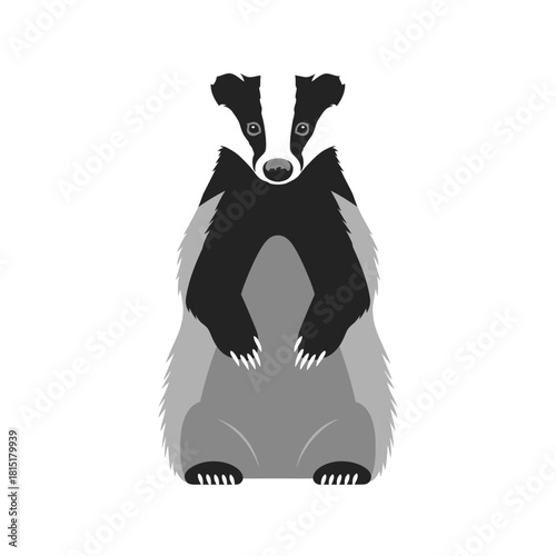 Cute Badger Illustration on White Background