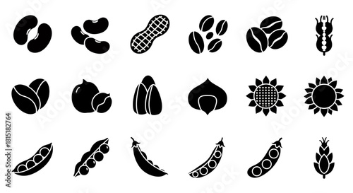 A collection of black and white vector illustrations showcasing various food items, including beans, nuts, seeds, and grains, perfect for culinary and agricultural designs.