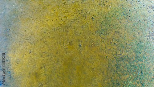 Aerial drone texture of a yellowish green muddy surface in a swamp area creating a simple and organic natural background for design use