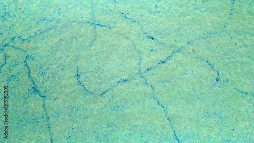 Close up aerial texture of bright turquoise algae and mud mixing together on the swamp floor creating a vibrant and artistic natural background image
