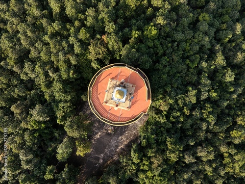 Obraz na plátně Top-down of circular pagoda tower rising above dense forest