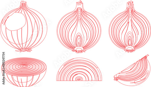 Red Line Art Illustration of Whole and Sliced Onions Displaying Internal Layers on White Background