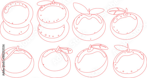 Red Outline Drawing of Eight Oranges with Leaves and Circular Markings on White