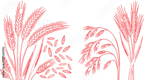 Red Outline Illustration Featuring Wheat, Oats, and Loose Grains on a White Background
