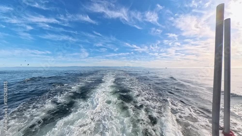 Dolpins Swim in Wake of Boat Traversing the pacific Ocean