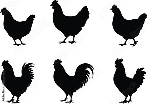 Set of chicken silhouettes, rooster and hen vector icons, black farm poultry birds collection, isolated graphic elements on white background.