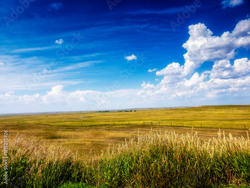 The Great Plains of South Dakota in Summer