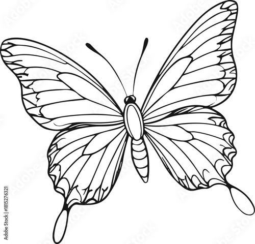Minimalist bold line drawing of a butterfly in flight
