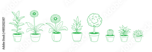 Houseplant in a pot. A collection of black and white sketches. Outlined drawings of rubber plants, gerberas, trees, and cacti. Set of vector doodle line illustrations.


