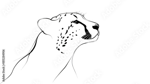 A single continuous black line drawing the entire profile of a majestic cheetah.