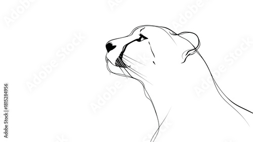 A single continuous black line drawing the entire profile of a majestic cheetah.