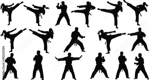 People Practicing Karate and Taekwondo, Showing Dynamic Kicks, Blocks, and Fighting Stances Vector.