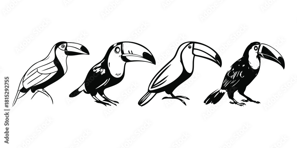 Fototapeta premium Set of Toucan Black and White Silhouette Isolated Vector Art Graphic
