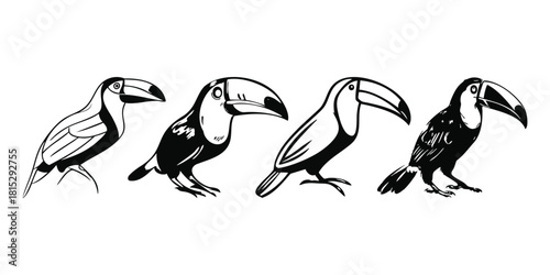 Set of Toucan Black and White Silhouette Isolated Vector Art Graphic