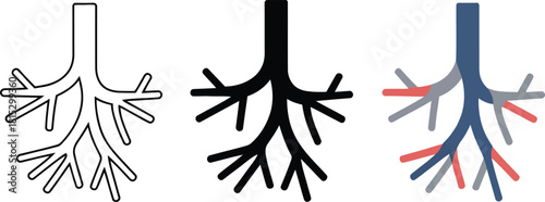 Three Styles of Bronchial Tree Icon Outline Silhouette and Color ,  health, human body, biology, airway,