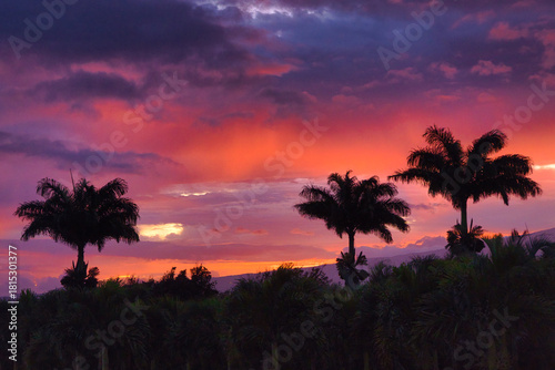 Blue hour sunrise on Maui.