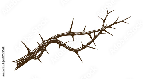 A thorny branch. Vector stock illustration. Hand-drawn.