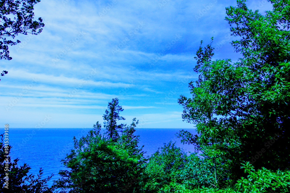 Obraz premium Scenic Lookout in Summer, Arcadia, Michigan