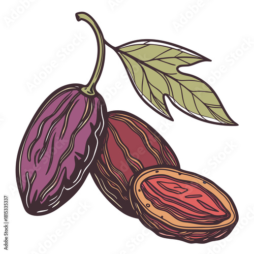 raisin on white background 