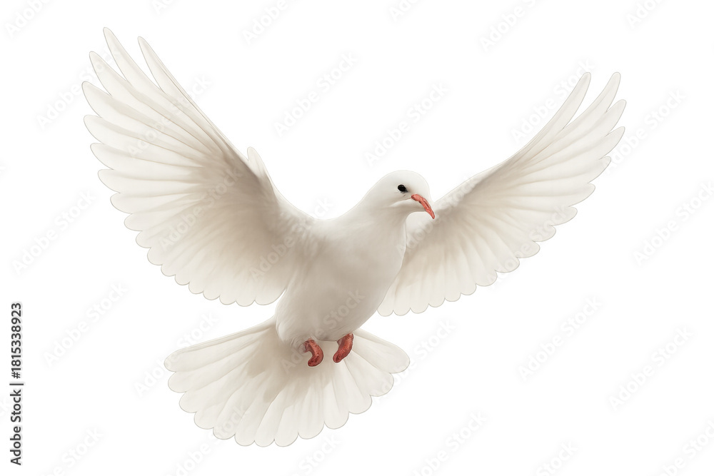 Fototapeta premium White dove flying with full wing spread, representing peace, spirituality, independence, and fresh starts. Transparent background