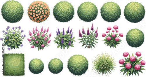 Vector collection of garden bushes and flowering shrubs top view for landscape architecture plan, game design, and outdoor greenery layout.