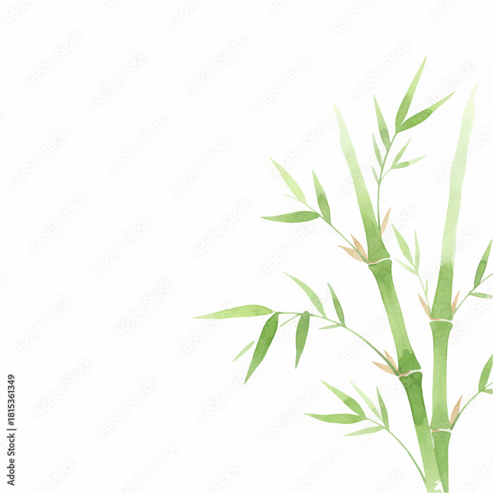 Naklejka premium Watercolor Green Bamboo Frame on Clean White Background