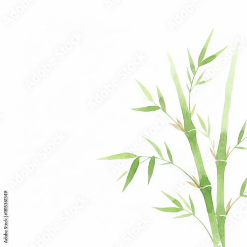 Watercolor Green Bamboo Frame on Clean White Background