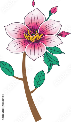 Lao flower, Dok Champa, Plumeria, tropical flower, floral, single flower, bloom, botanical, petal, bud, leaf, nature.